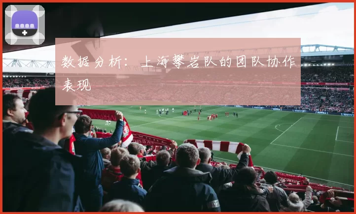 数据分析：上海攀岩队的团队协作表现
