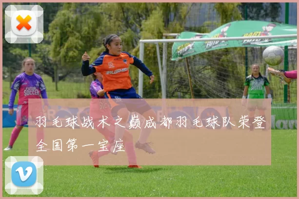 羽毛球战术之巅成都羽毛球队荣登全国第一宝座