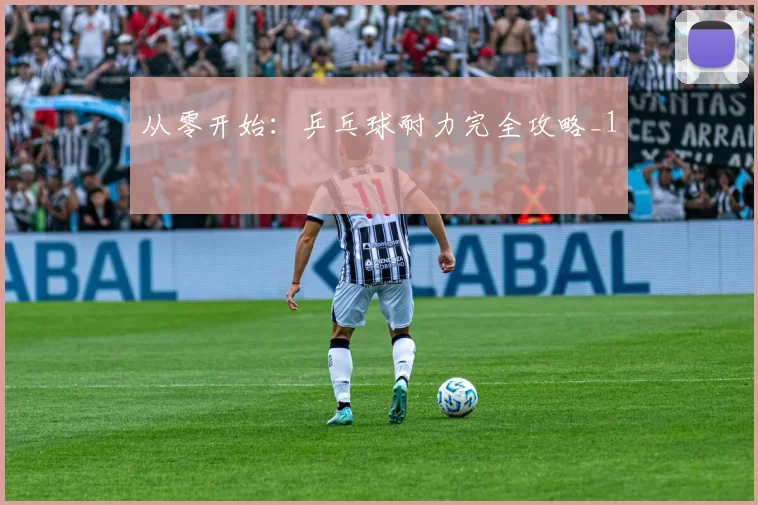 从零开始：乒乓球耐力完全攻略_1