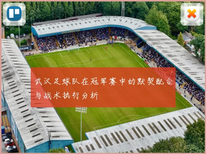 武汉足球队在冠军赛中的默契配合与战术执行分析